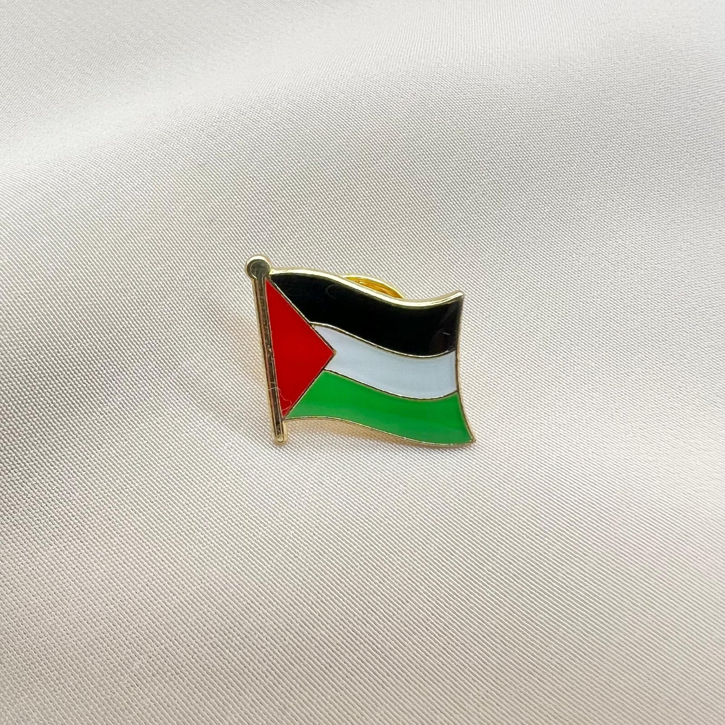 Country Lapel Pin